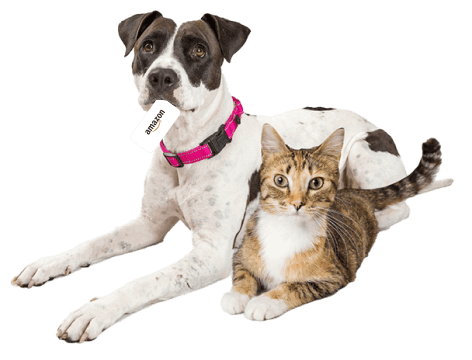 Amazon $25 Gift Card for Pet Insurance