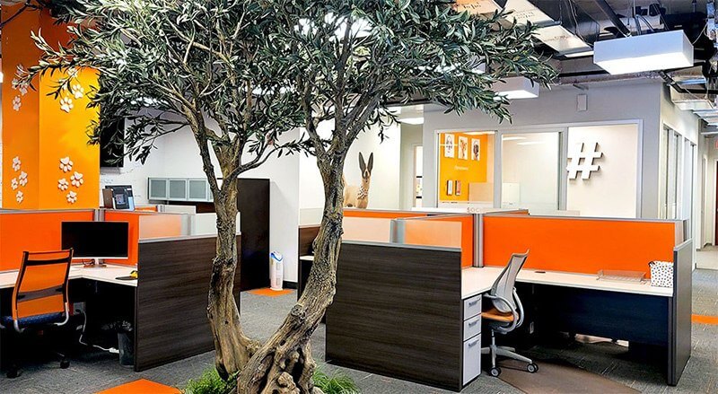 Jobs at Spot Pet Insurance