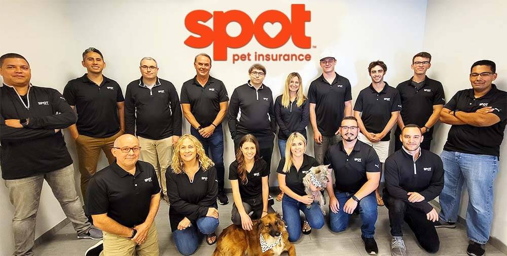 Spot Pet Insurance Staff In The News