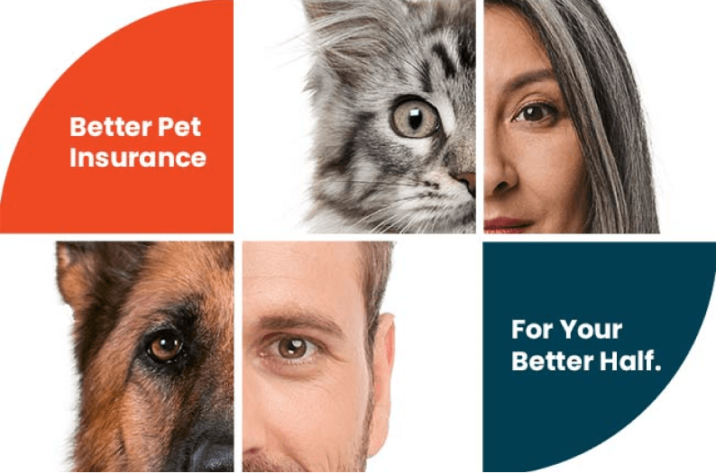 Better Cat and Dog Insurance for Your Pet