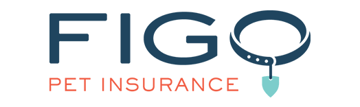 Spot Pet Insurance vs Figo Pet Insurance