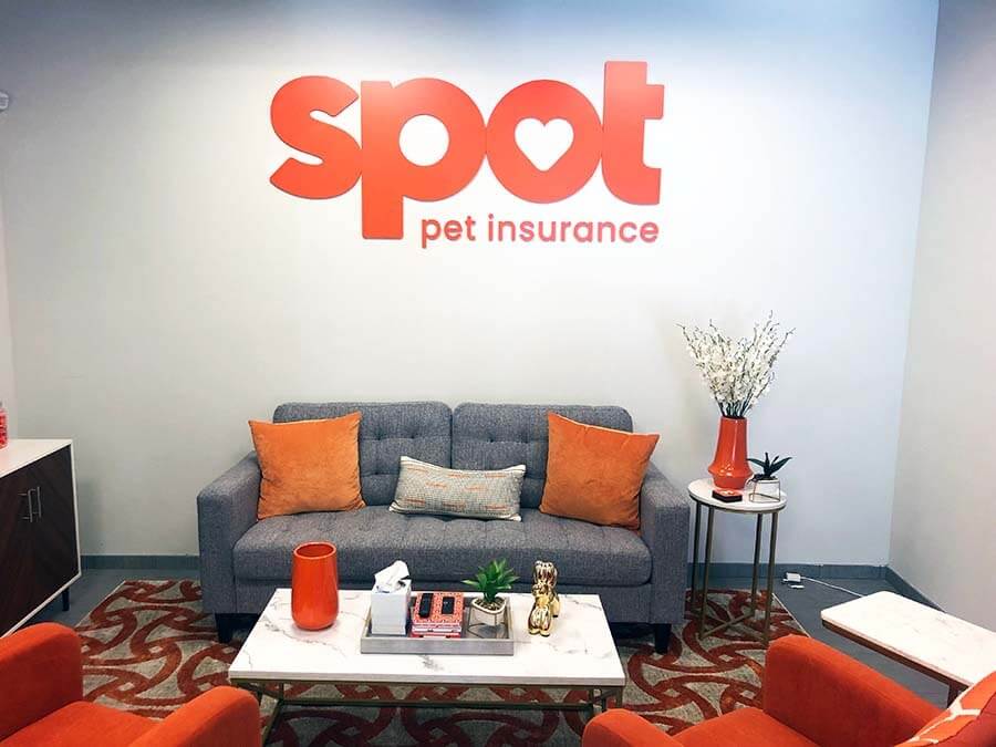 We love our cat and dog pets