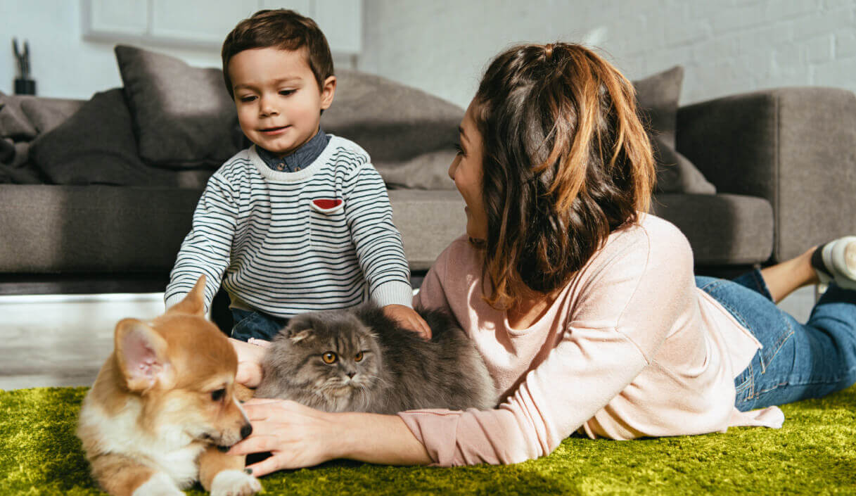 Mother and Child with their Cat and Puppy