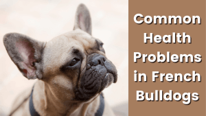 165773403262cf03908b8a5