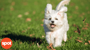 165773399262cf0368dd84d