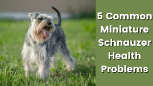 165773400162cf0371807f9