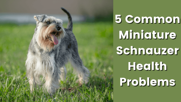 165773400162cf0371807f9