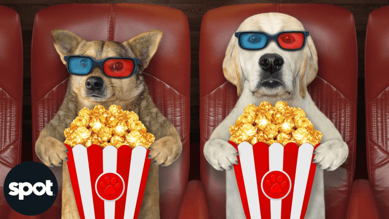 165773355262cf01b0ec45f