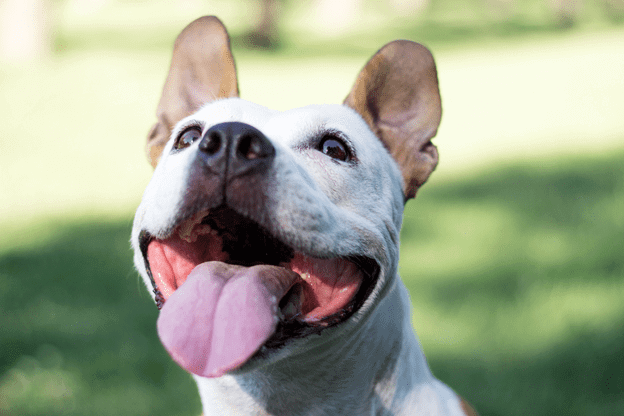 165773355762cf01b594b54