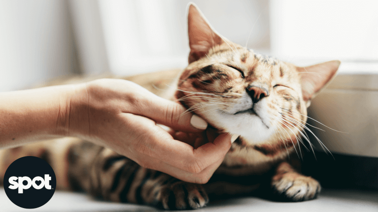 165773357462cf01c6b56ed