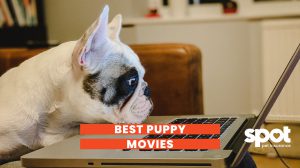 165773398462cf03604f0a1