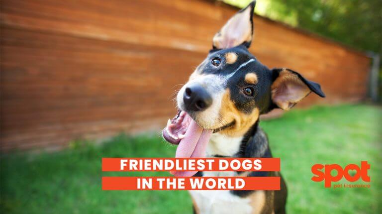 165773398762cf03631a1ba