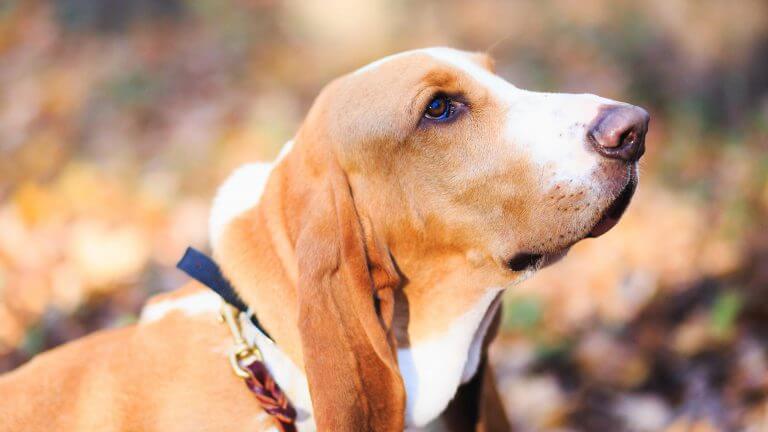 165773398962cf0365e984a