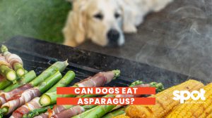 165773353962cf01a352420