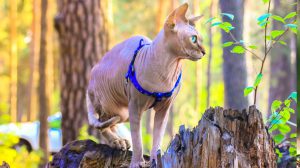 165773350562cf018146e0f