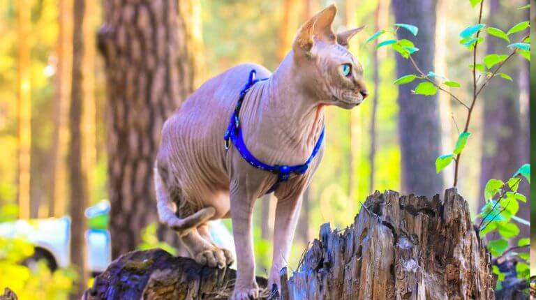 165773350562cf018146e0f