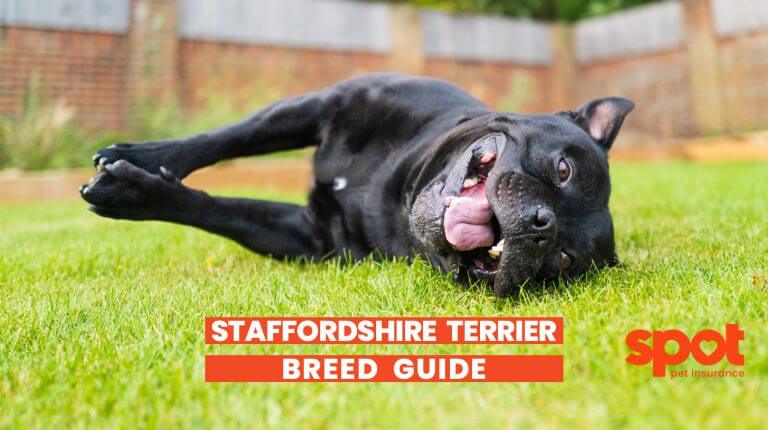 165773350762cf01839a8e9