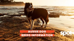 165773351962cf018f2c51f